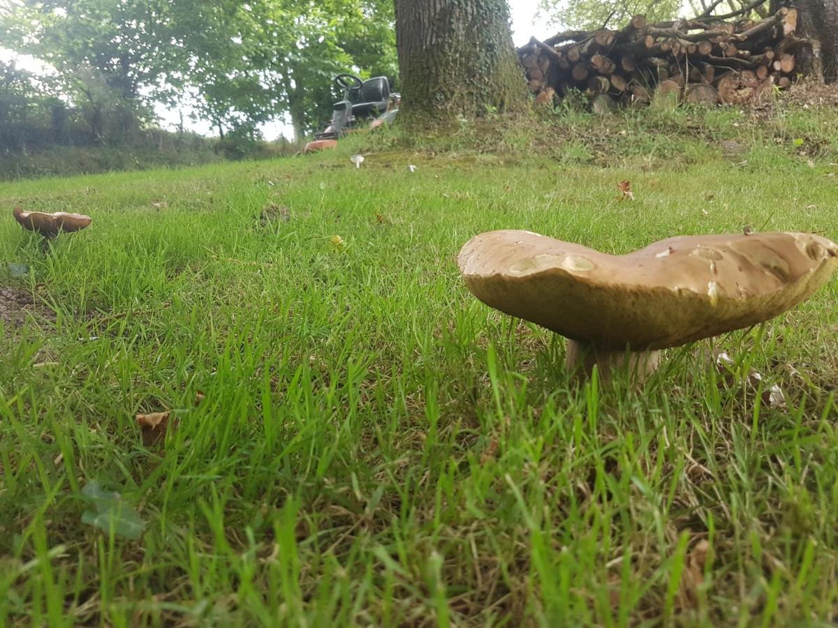 Camping De La Chagnee Saint-Aubin-le-Cloud Eksteriør bilde
