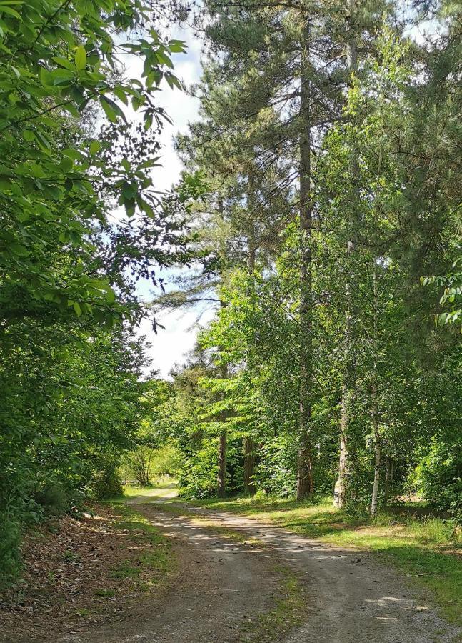 Camping De La Chagnee Saint-Aubin-le-Cloud Eksteriør bilde