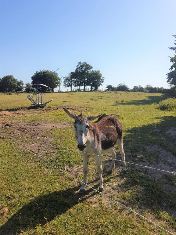 Camping De La Chagnee Saint-Aubin-le-Cloud Eksteriør bilde
