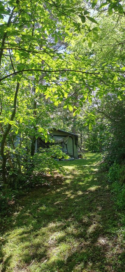 Camping De La Chagnee Saint-Aubin-le-Cloud Eksteriør bilde